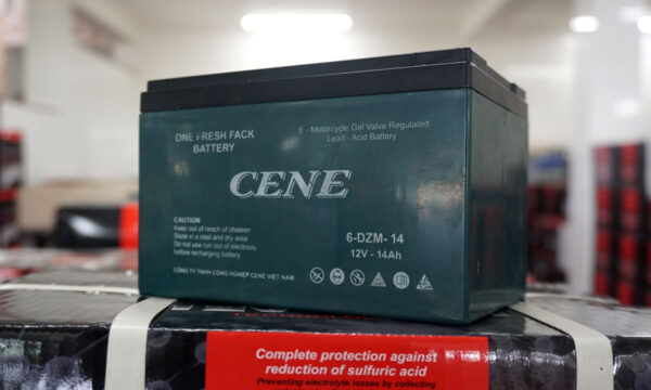 Bình điện ắc quy cao cấp CENE 6DZM-14